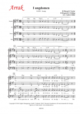 I ungdomen i gruppen Krnoter - tryckta hos JaKe (Arrak) musik (AK161)