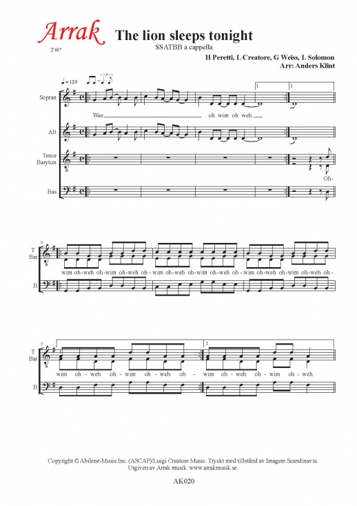 The lion sleeps tonight