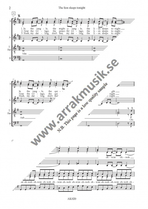 The lion sleeps tonight