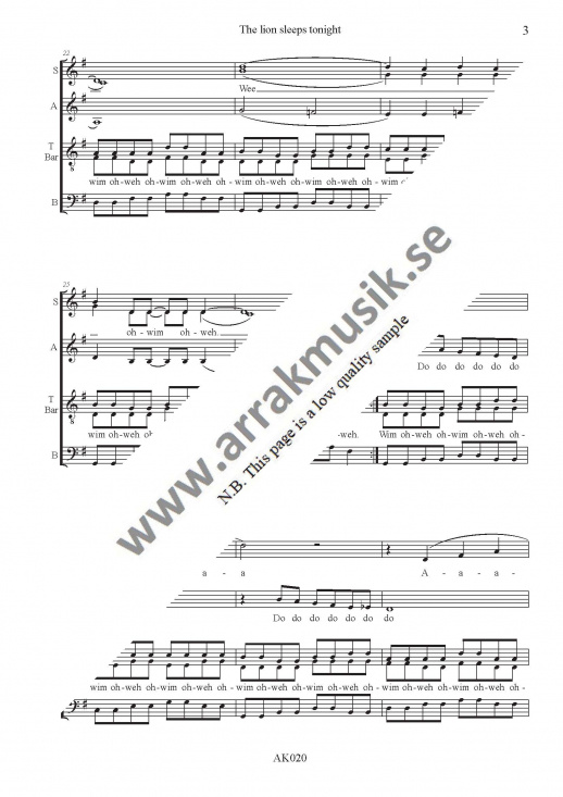 The lion sleeps tonight