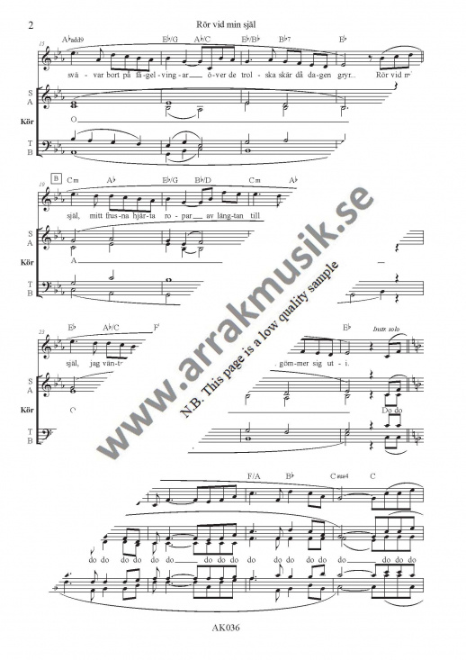 R�r vid min sj�l (You raise me up)