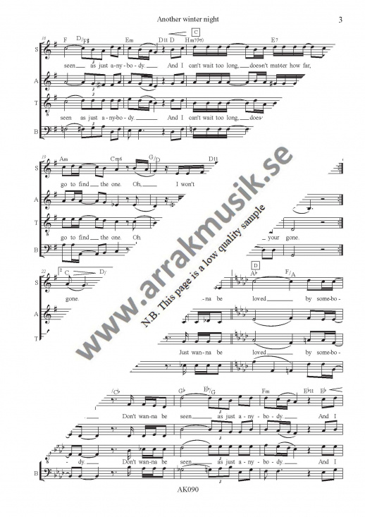 Another winter night