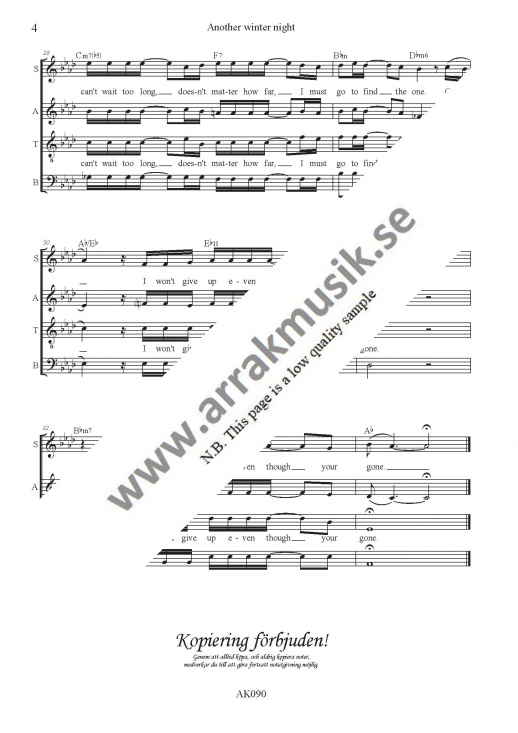 Another winter night