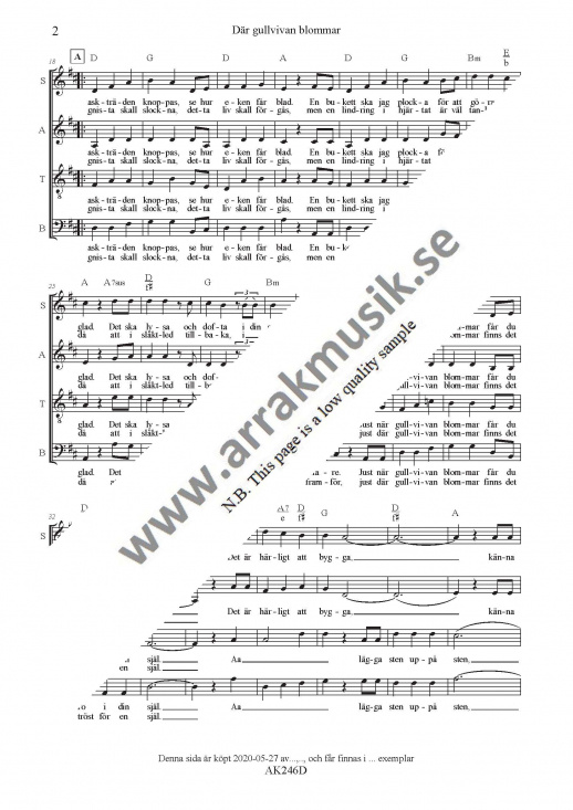 D�r gullvivan blommar