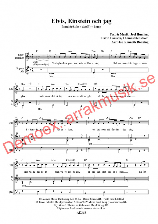 Elvis, Einstein och jag