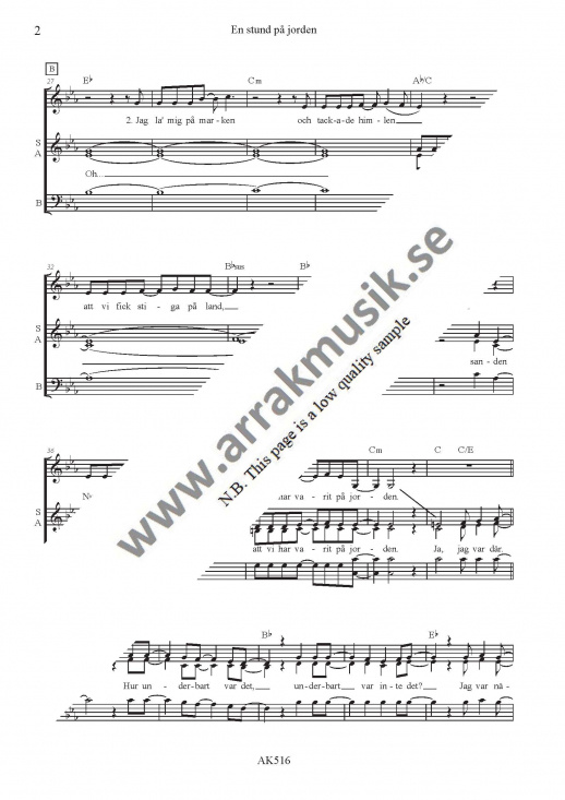 En stund p� jorden